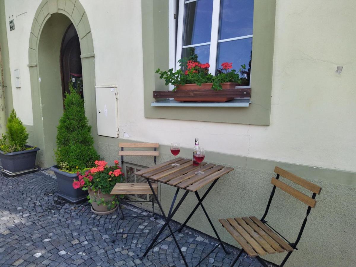 Apartmany Zatec Extérieur photo