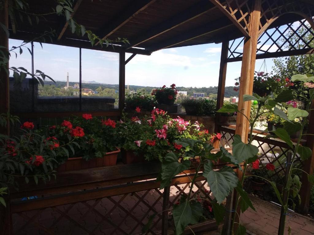Apartmany Zatec Extérieur photo